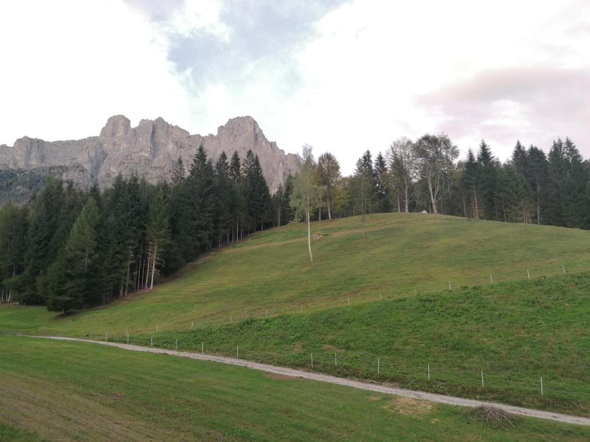 Baita Pra Petina Pale Di San Martino Siror Buitenkant foto
